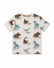 BRANDED DINOSAUR EXPLORER T-SHIRT WITH SHORTS SET