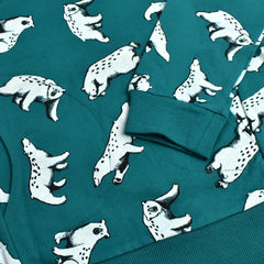 LITTLE KIDS GREEN BEAR PRINTED JUMPER