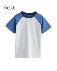 NEXT GREY REGULAR FIT T-SHIRT WITH SHORT SET