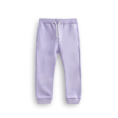 BRANDED PURPLE FAVOURITE PLANT 2 PCS SET